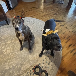 Fundraising Page: Rick May